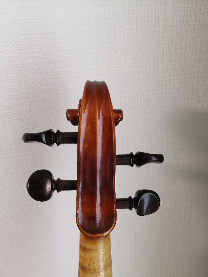 roderich paesold no.806 ヴァイオリン