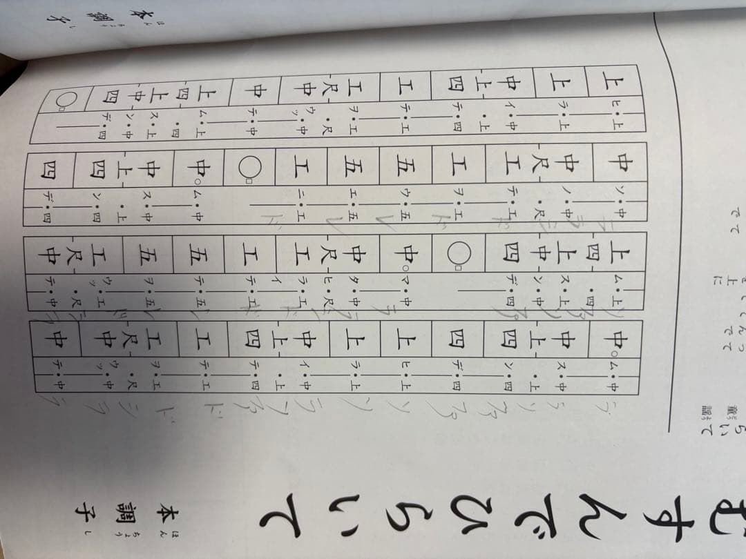 ヘビ柄 三線 本体 教本付き
