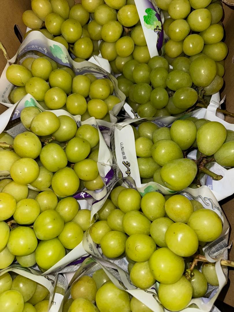 山梨県産ぶどう⭐️シャインマスカット⭐️家庭用訳あり品11房入り箱込み約5.5キロ