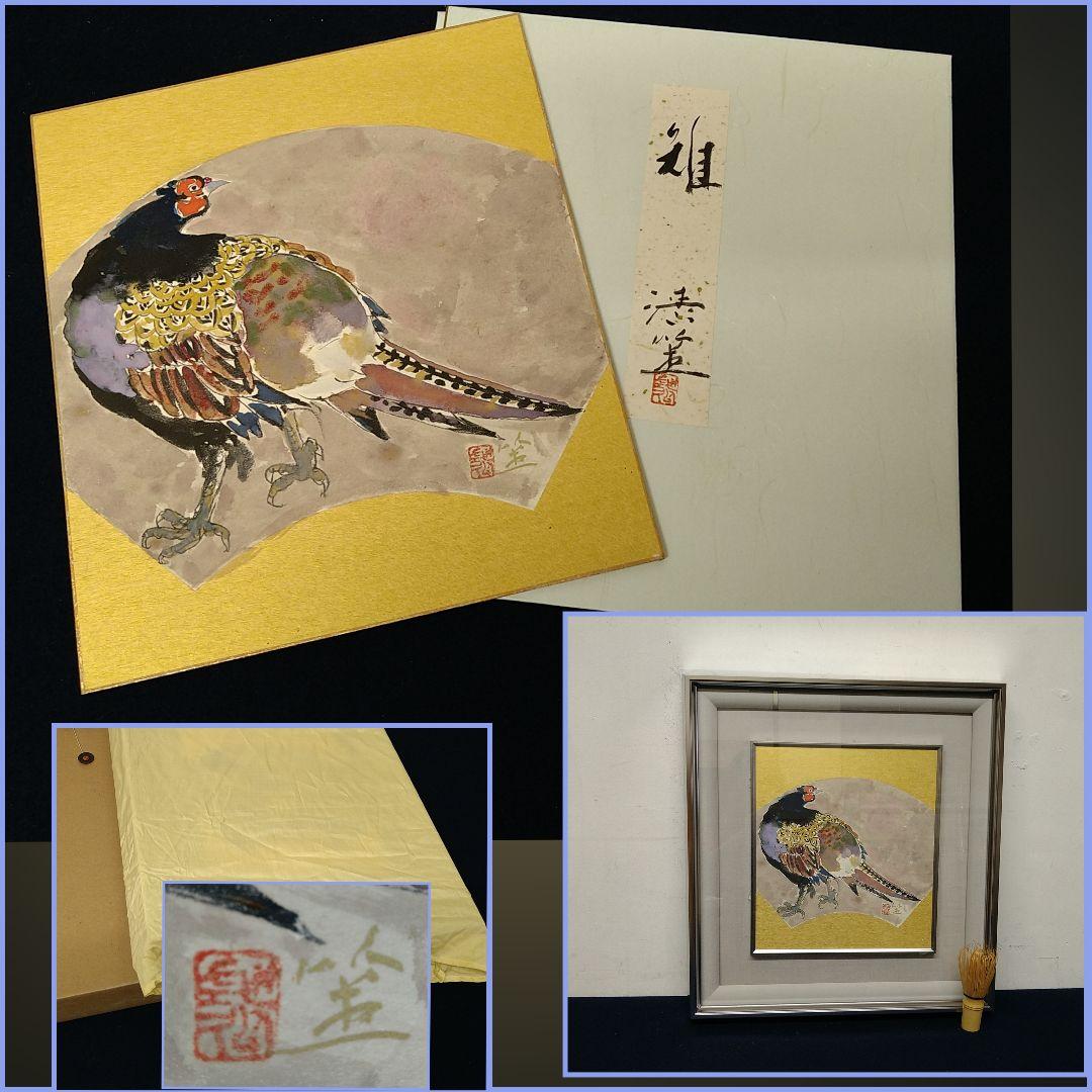 AC43【真作】斎藤清策 雉 色紙額 扇面図 日本画 鳥 タトウ黄布 美品