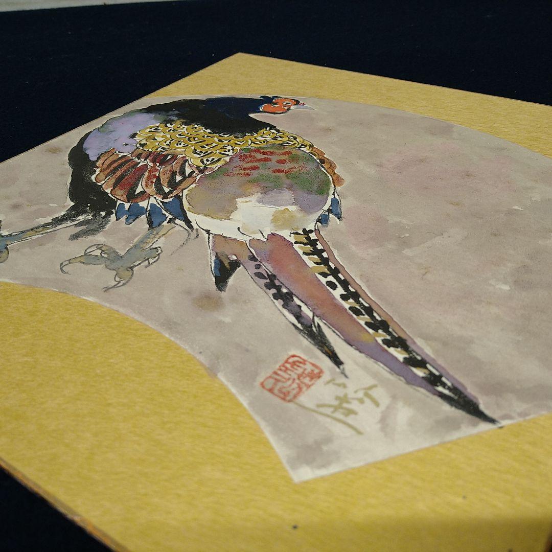 AC43【真作】斎藤清策 雉 色紙額 扇面図 日本画 鳥 タトウ黄布 美品