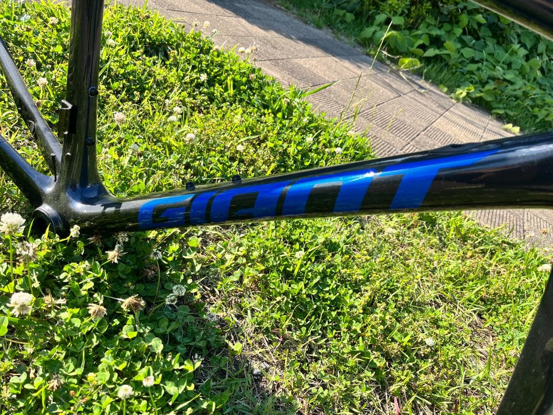 たこちゃんGIANT TCR カーボンフレーム ブラック/ブルー