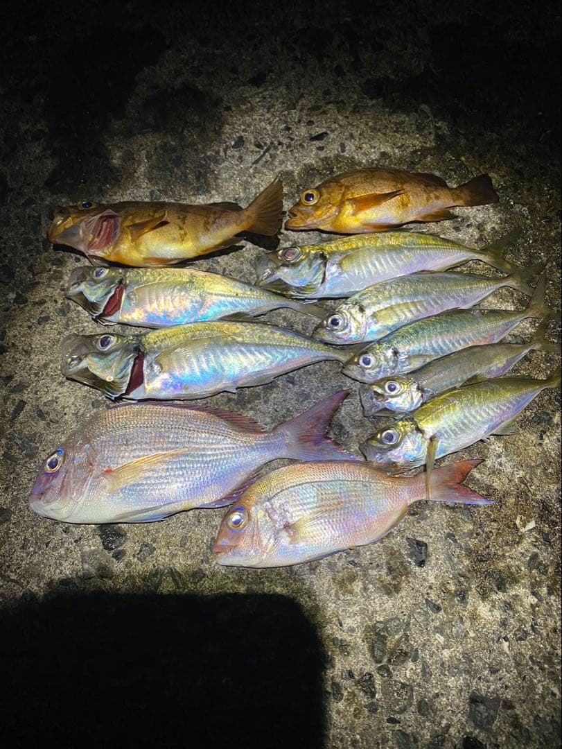 アジングソアレXR s68ul-s