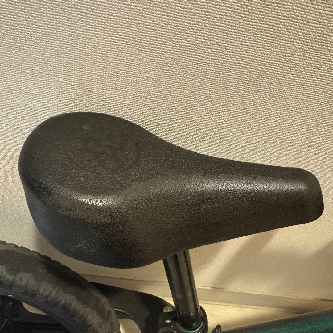 STRIDER PRO 12インチ メタリックアクア　人気色　ストライダー