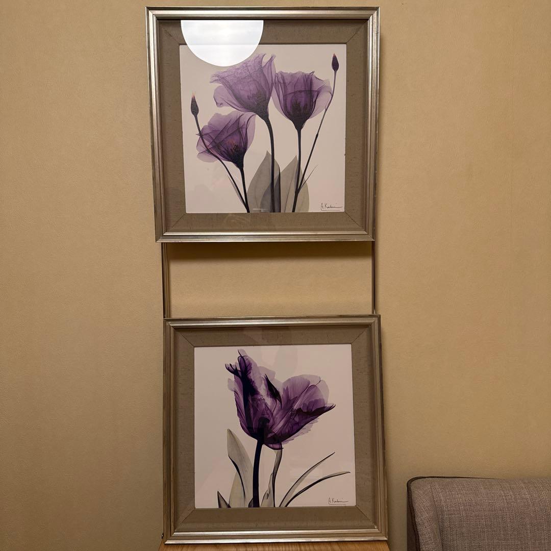 アルバートクーツィール　レントゲンフラワー2点