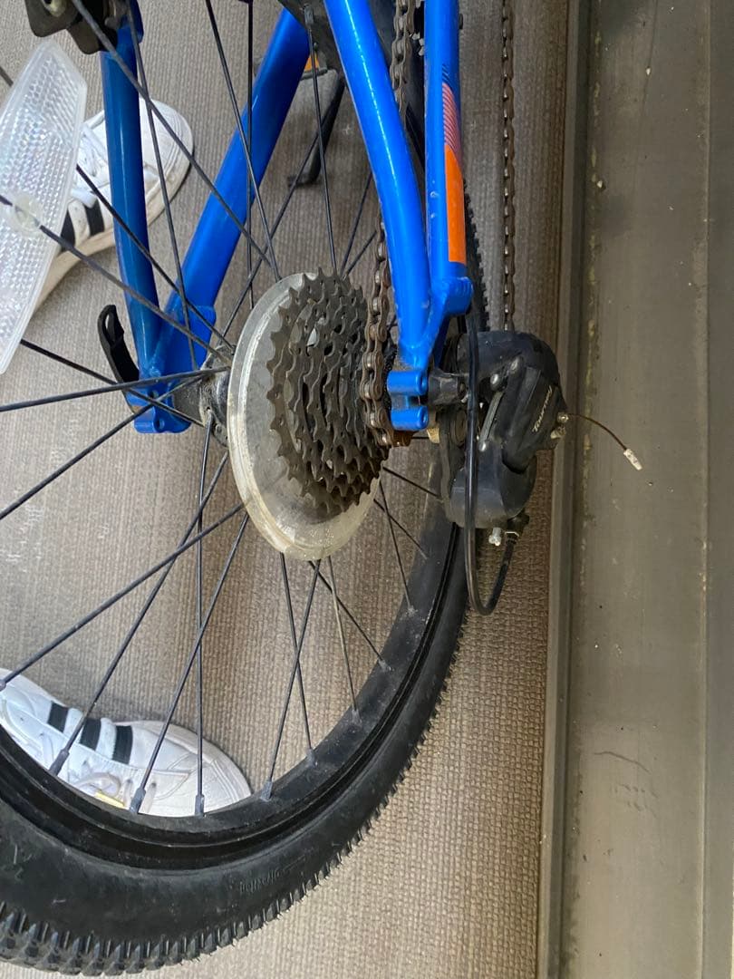 キャノンデール20インチ