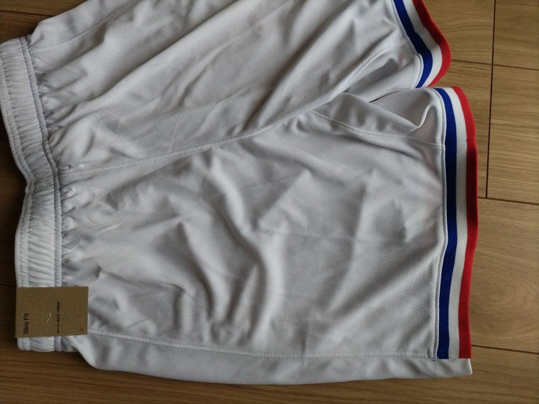 Nike DRI-FIT サッカー レプリカ ショート パンツ