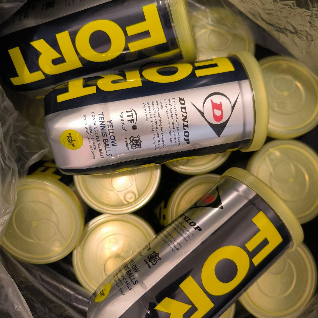 『新品』ダンロップ　フォート硬式テニスボール15個セット