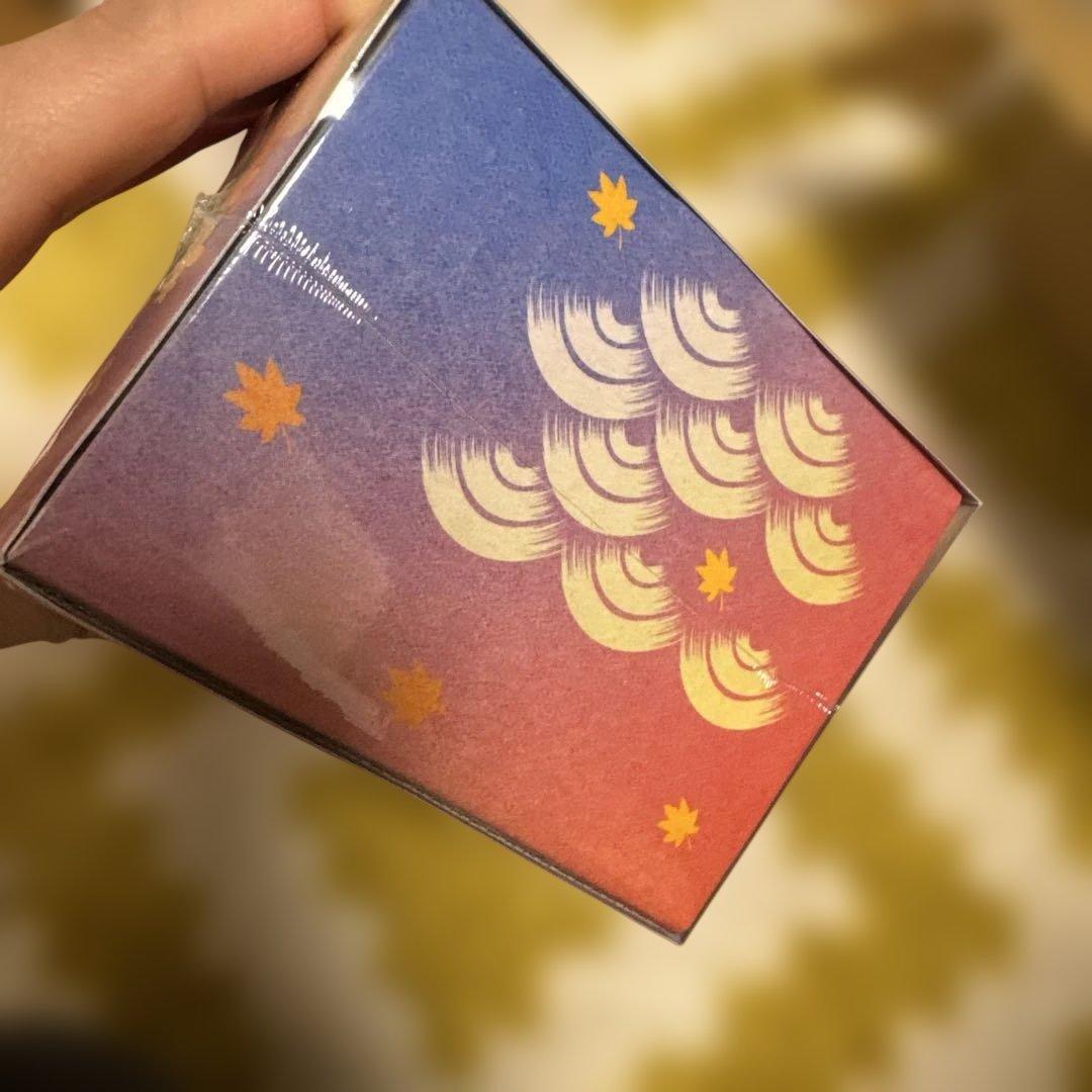 新品未開封　シュリンク付き　ポケモンセンターヒロシマ　スペシャルBOX