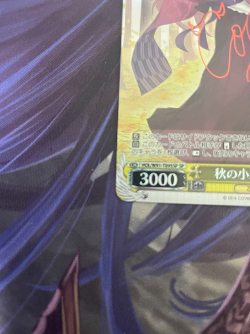 ヴァイスシュヴルツ 秋の小道 桐生ココ SP