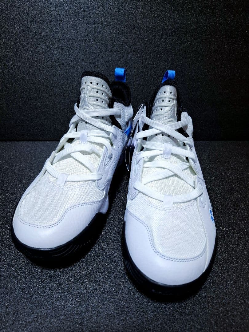 NIKE JORDAN STAY  2 ジョーダン ステイ ロイヤル2