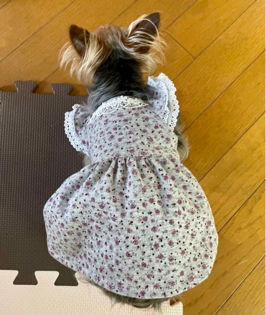 ハンドメイド犬服　小花柄ニットのヒラヒラお袖キャミワンピ　お袖2段レース付