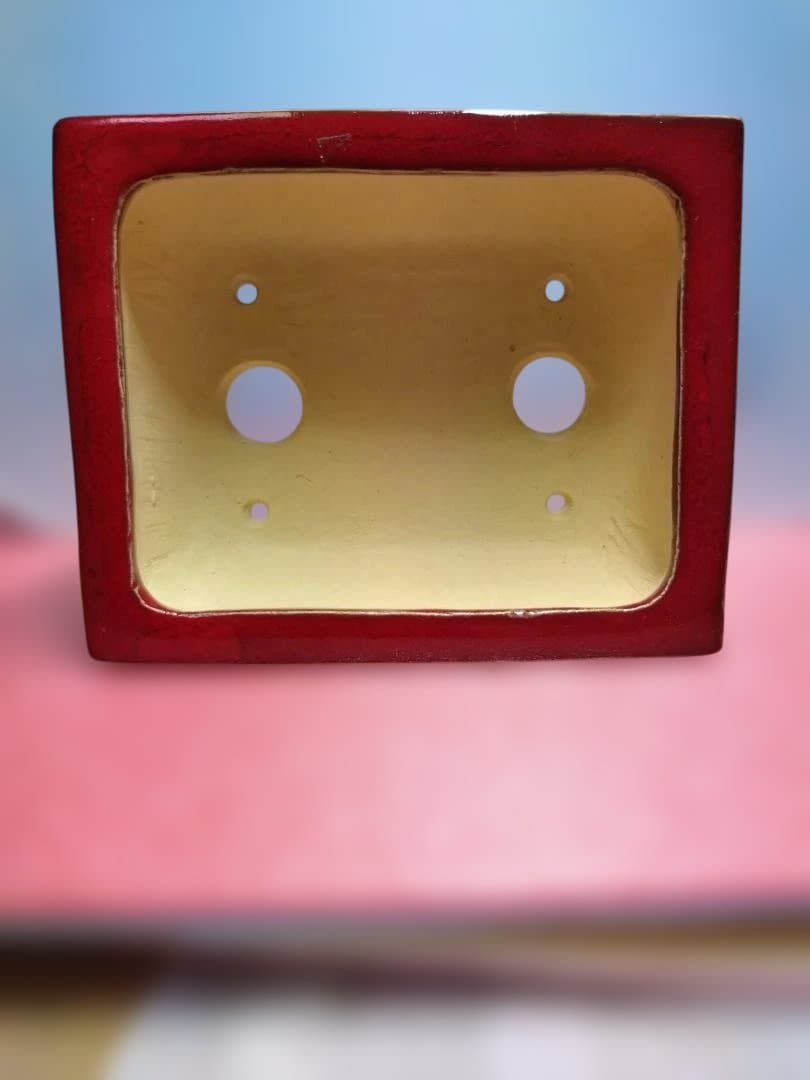 赤い漆器 水指 四角形盆栽鉢