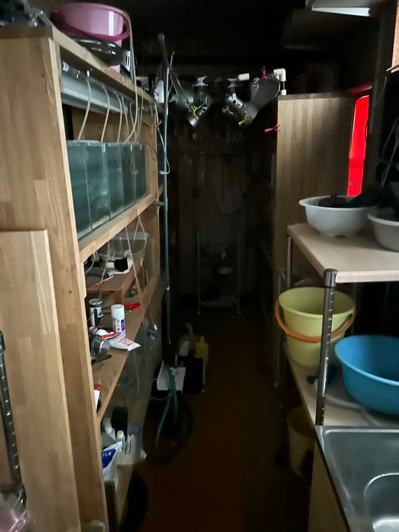 水槽用木製棚と小型水槽セット。シュリンプ育成用