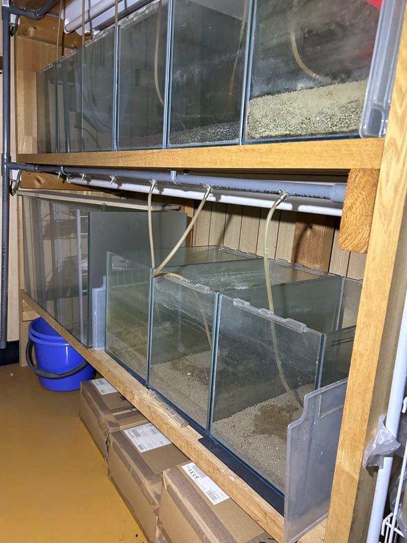 水槽用木製棚と小型水槽セット。シュリンプ育成用