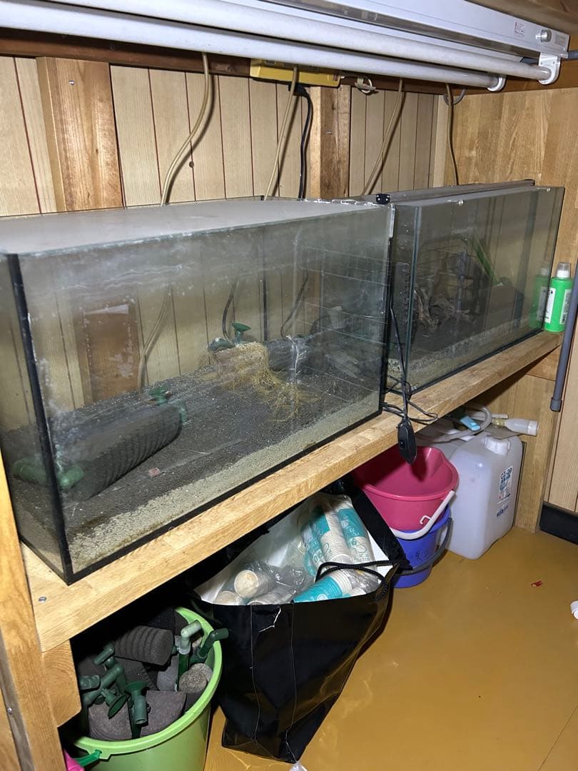 水槽用木製棚と小型水槽セット。シュリンプ育成用