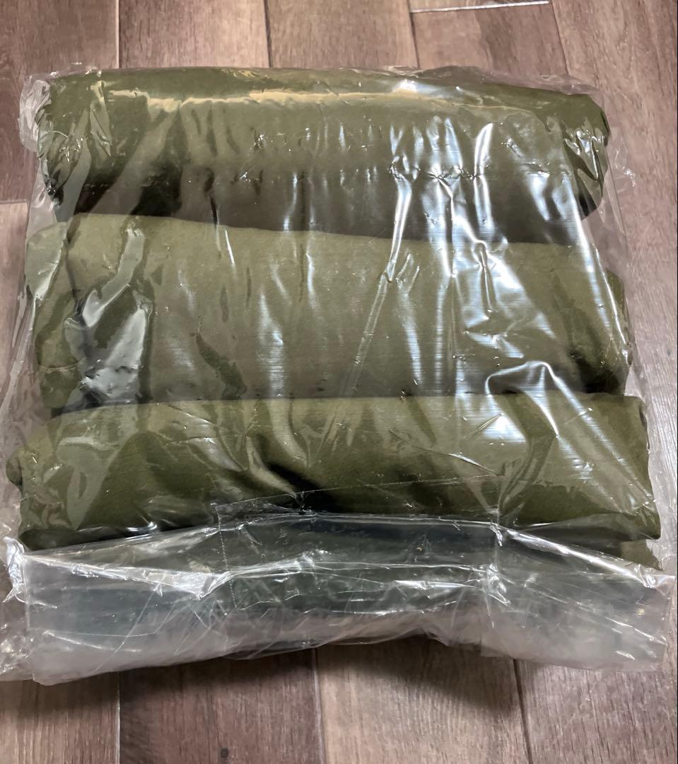 ポーランド軍幕　ポンチョテント　サイズ2 ２枚