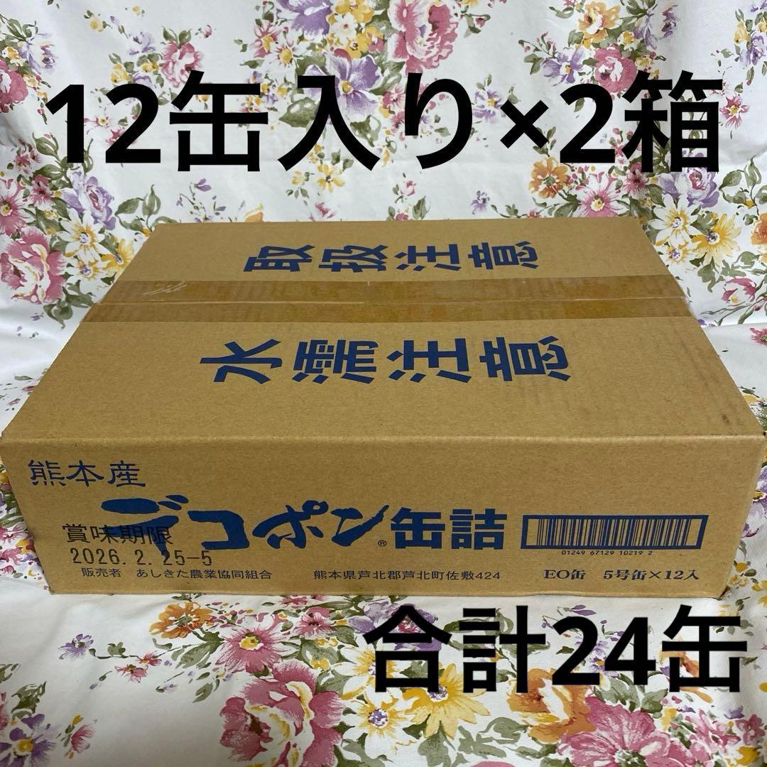デコポン缶詰　24缶　あしきた農業　熊本県産デコポン　シラップづけ　缶詰　ギフト