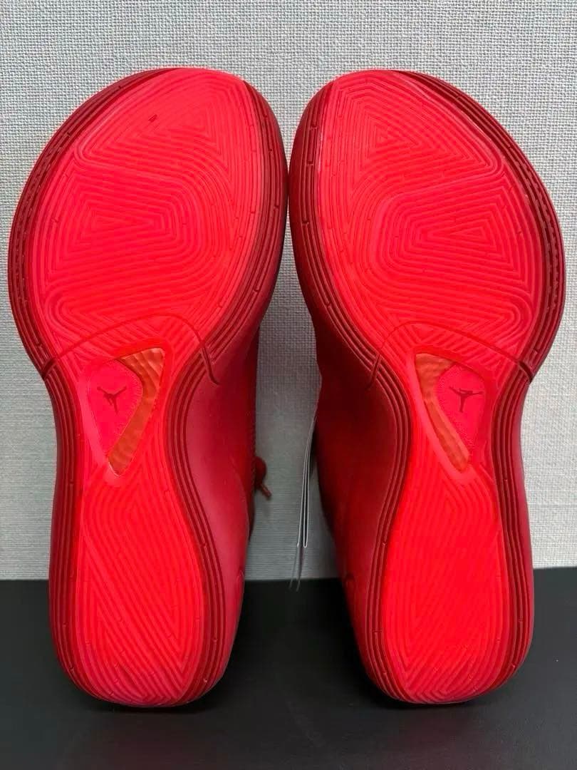 シューズ(男性用) NIKE JORDAN LUKA1 PF \"For The Love\" 28cm