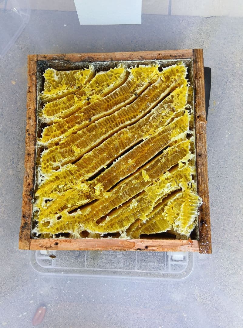 南国土佐の百花蜜　ニホンミツバチ蜂蜜　無添加　無加工　タレ蜜