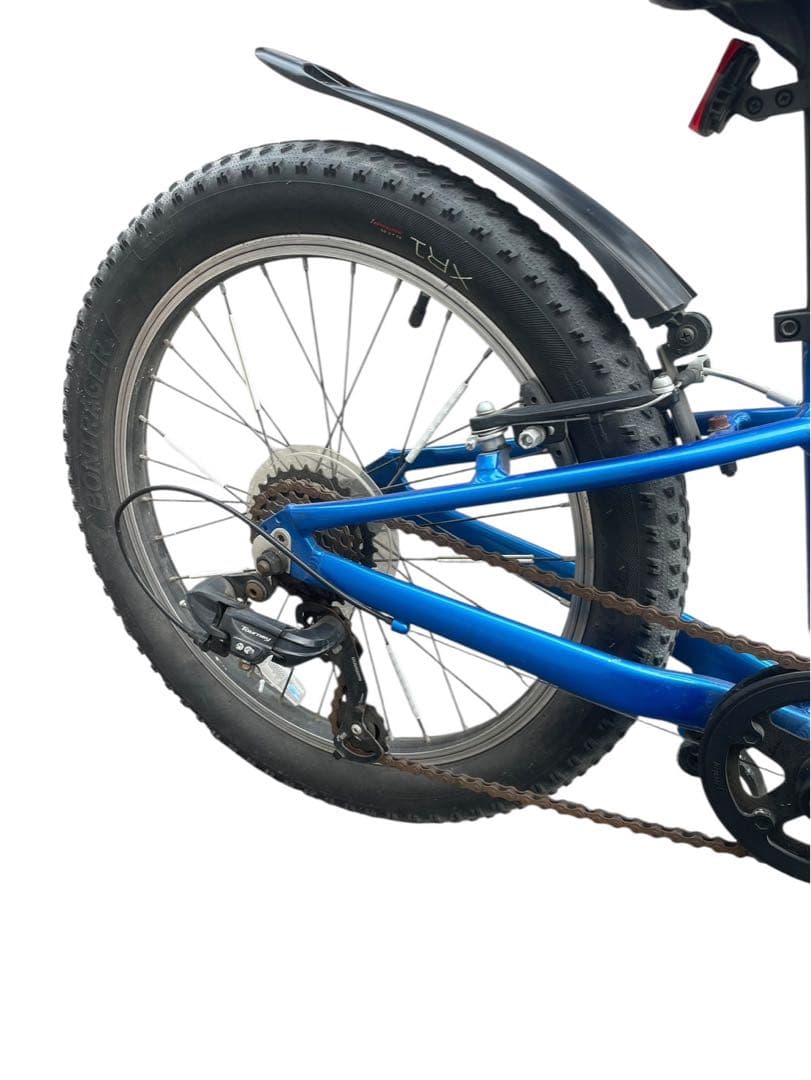 TREK 子供用自転車 PRECALIBER 20 ブルー