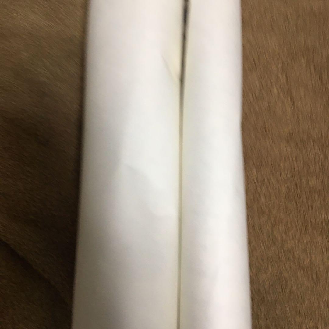 フリッパーズ・ギター　DVD特典ポスター