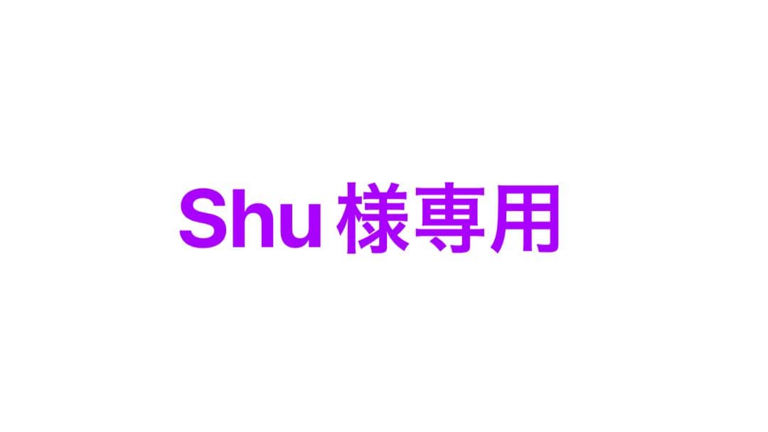 ギター Shu
