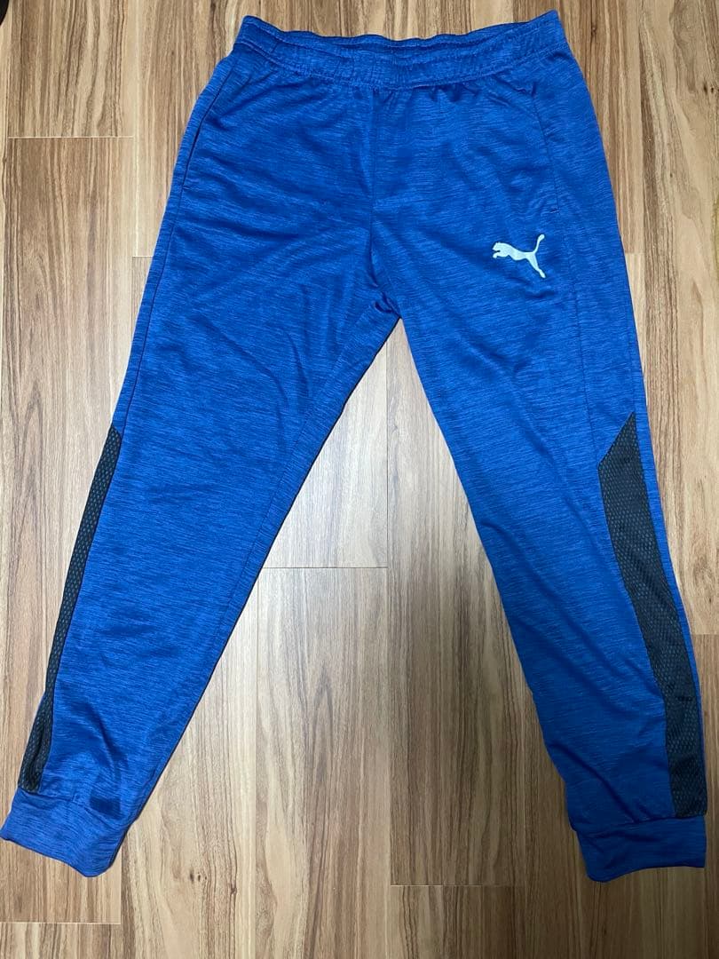 プーマ　上下セット　トレーニングウェア　ジャージ