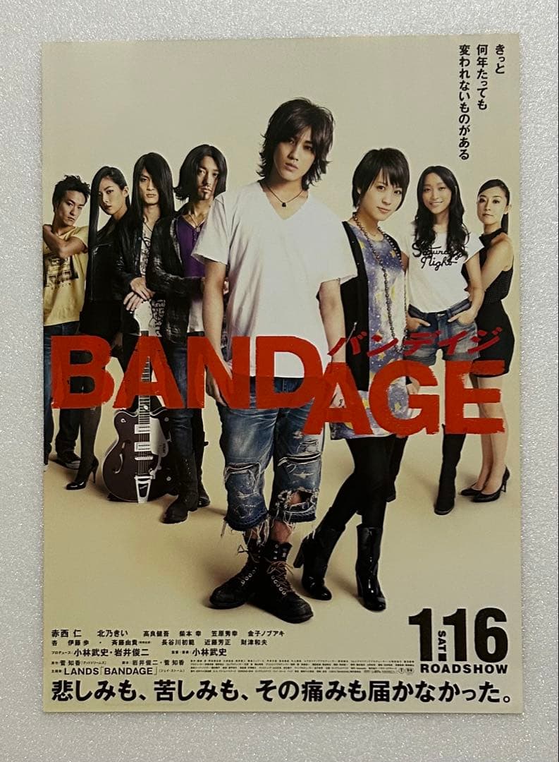 映画チラシ フライヤー 【 岩井俊二 監督関連作品 】