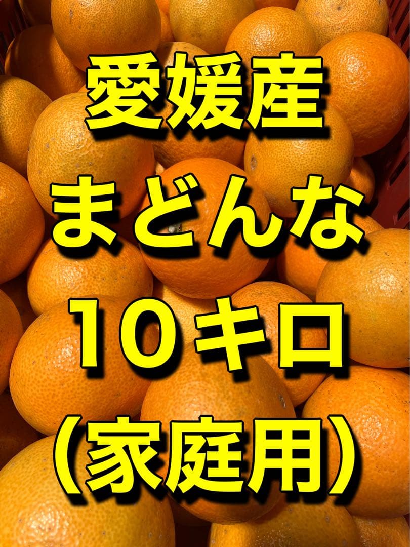 愛媛産 まどんな 10キロ (家庭用)