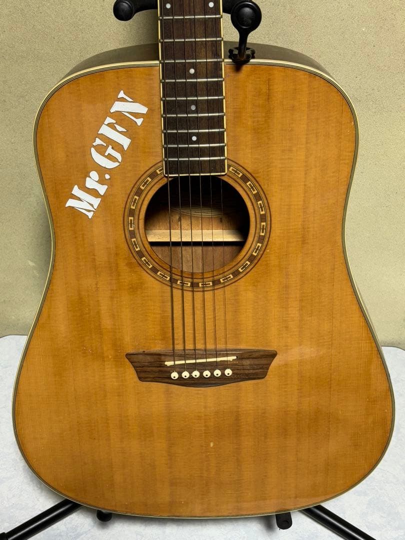 Washburn WD10 アコースティックギター【中古品】