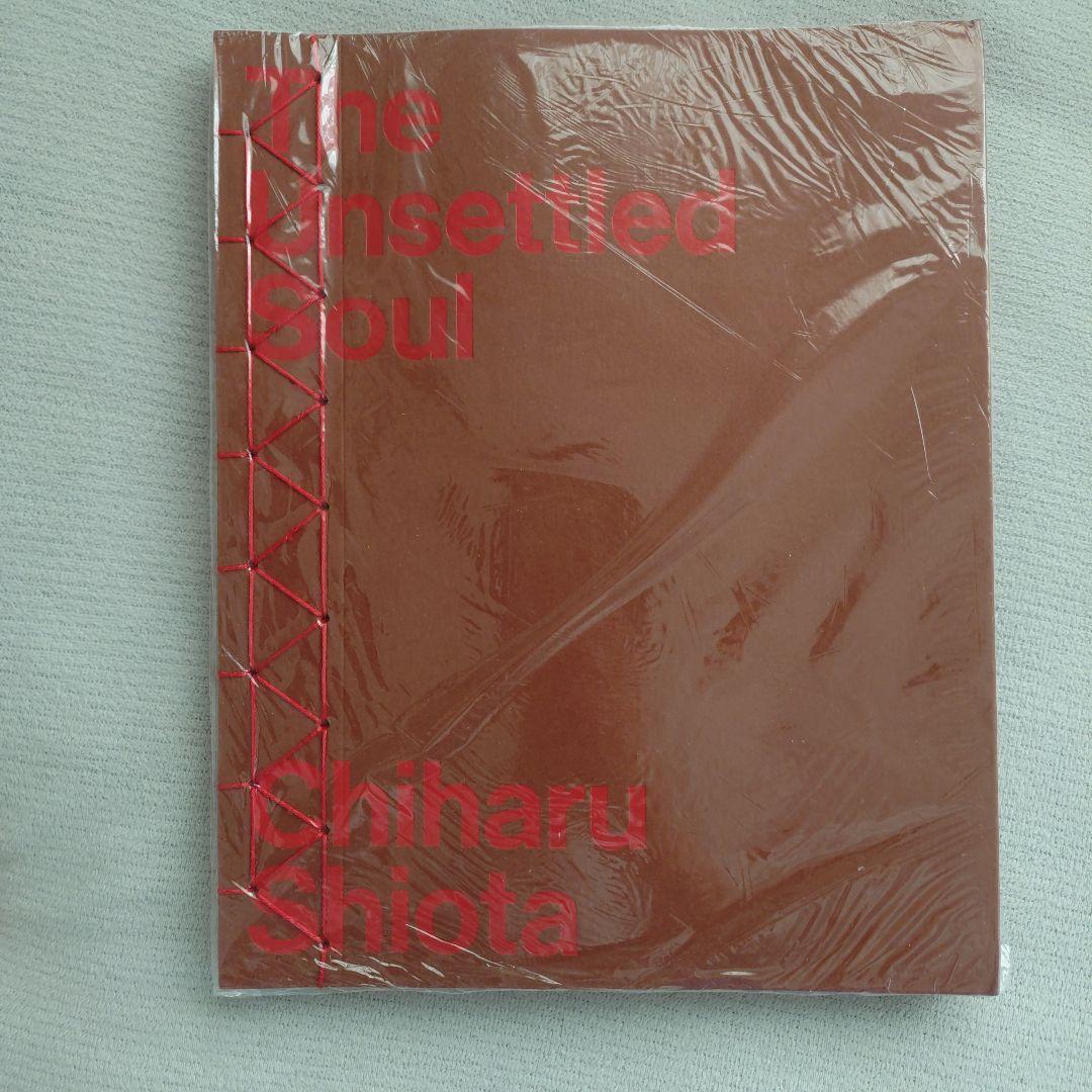 芸術写真 The Unsettled Soul Chiharu Shiota