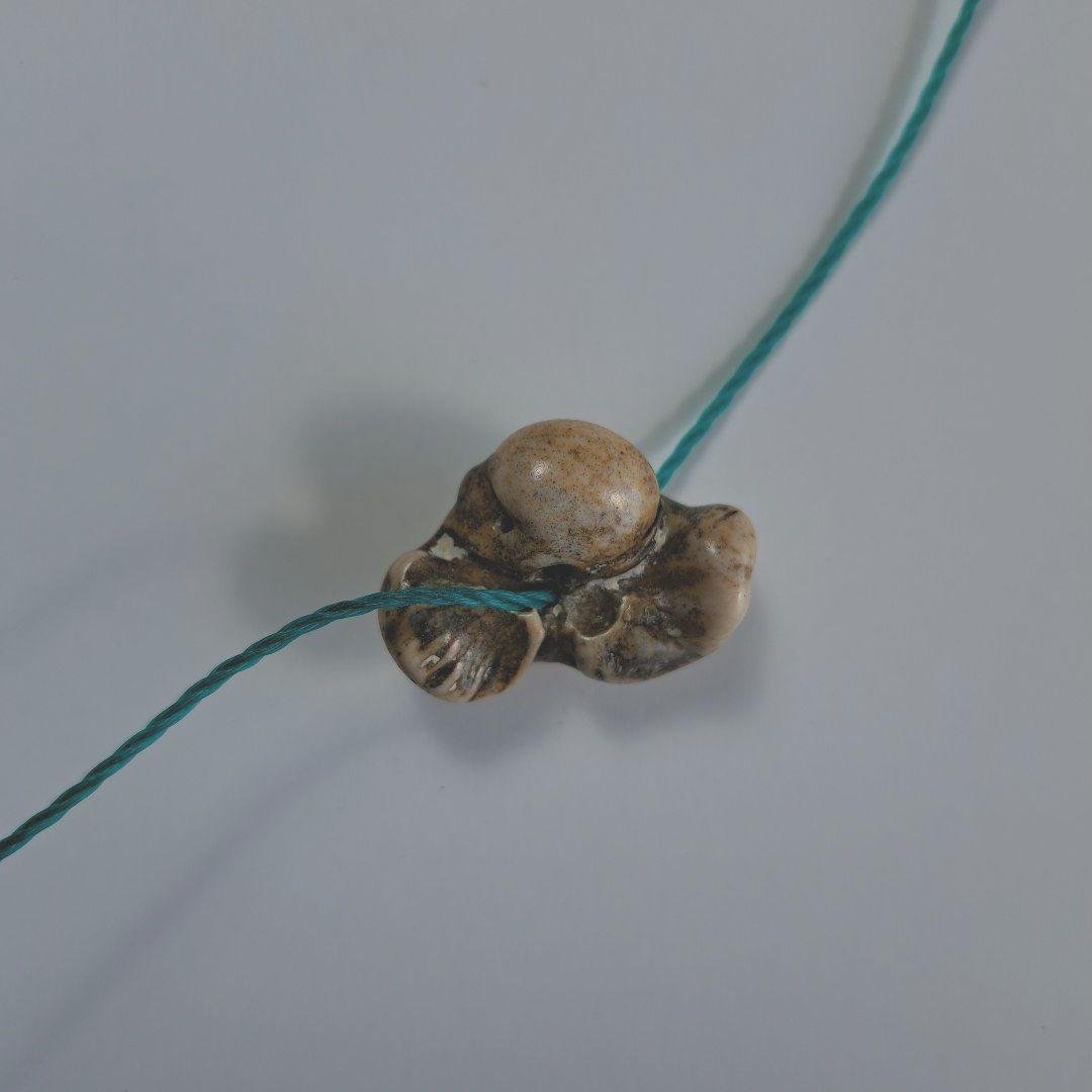 イルカの耳骨【大きさ2.7㎝　②】