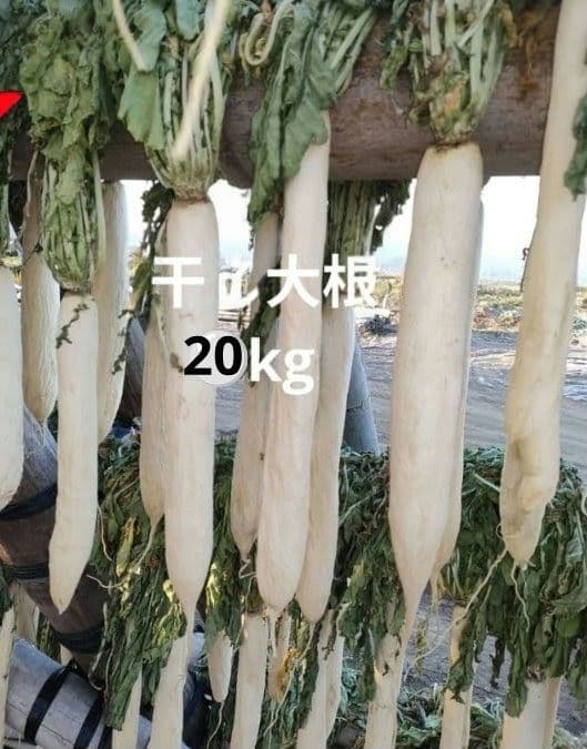 干し大根　訳あり　箱込み約20kg