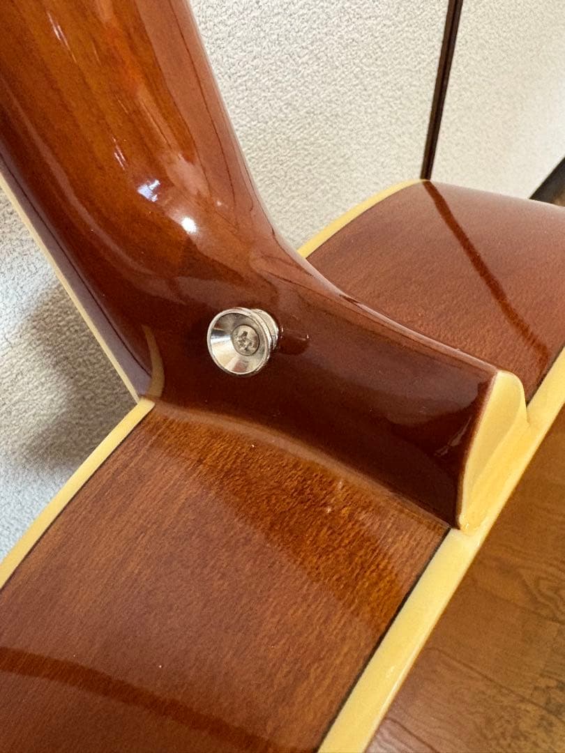 Legend アコースティックギター レッド/ブラック