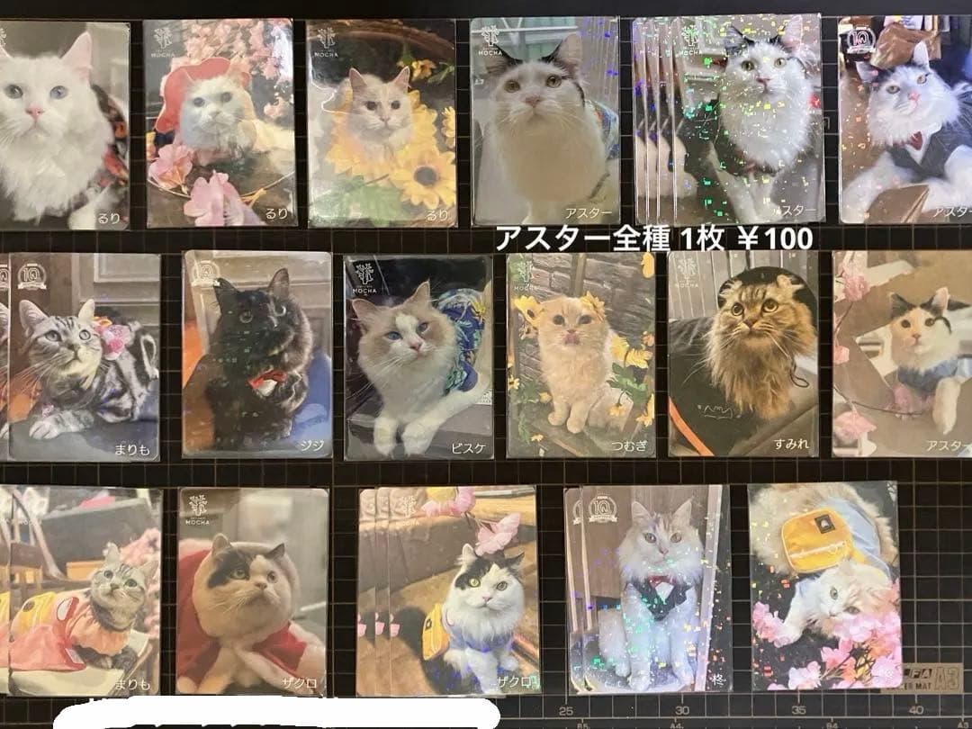 猫カフェmocha にゃんずトレカ バラ売り⭕️