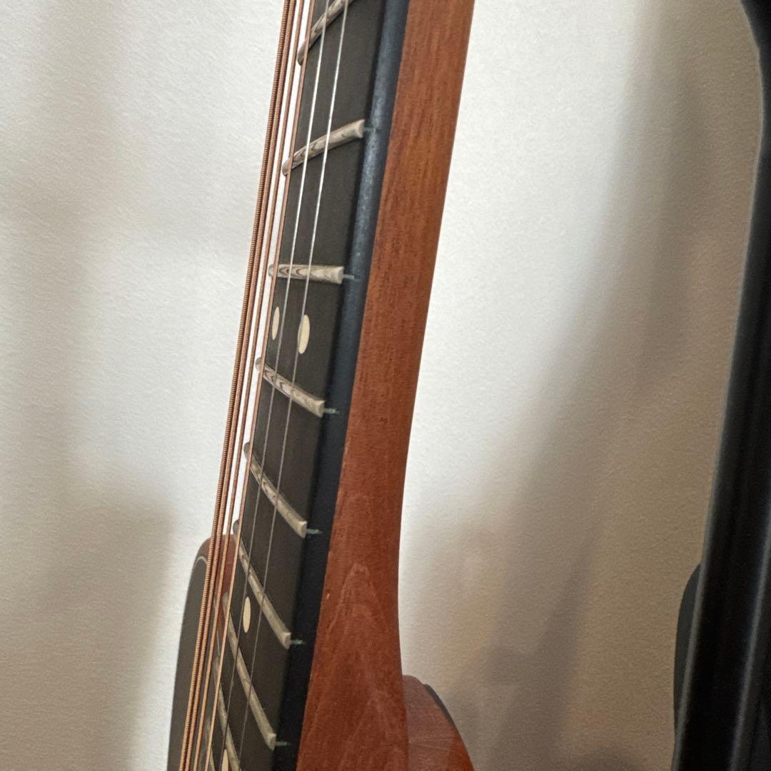 Fender American Acoustasonic ブラックペイズリー