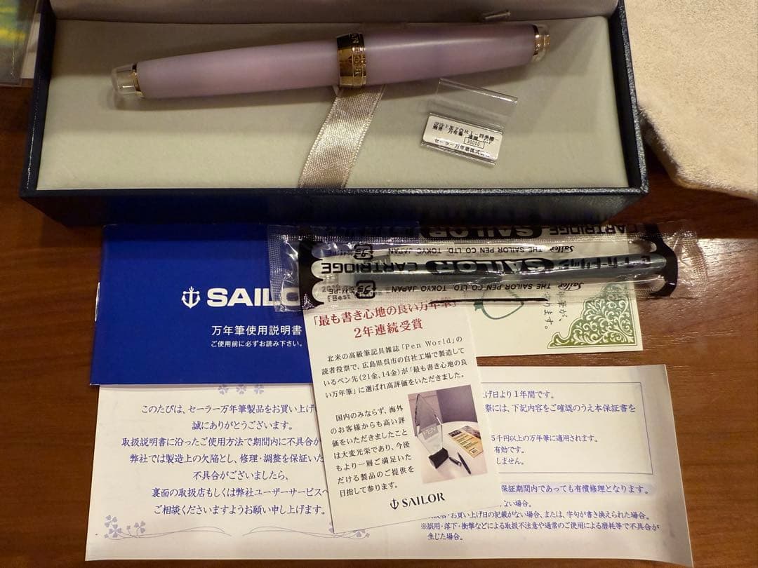 SAILOR セーラー万年筆　凍雨 21金MF