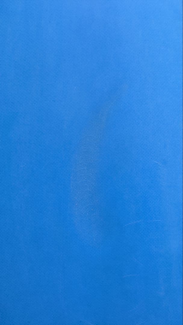 青色のファンボード EST 6'6 デッキパッド、ケース付き