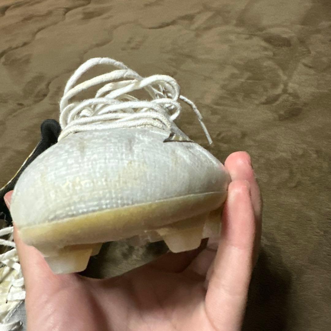 ミズノアルファJapan 25cm