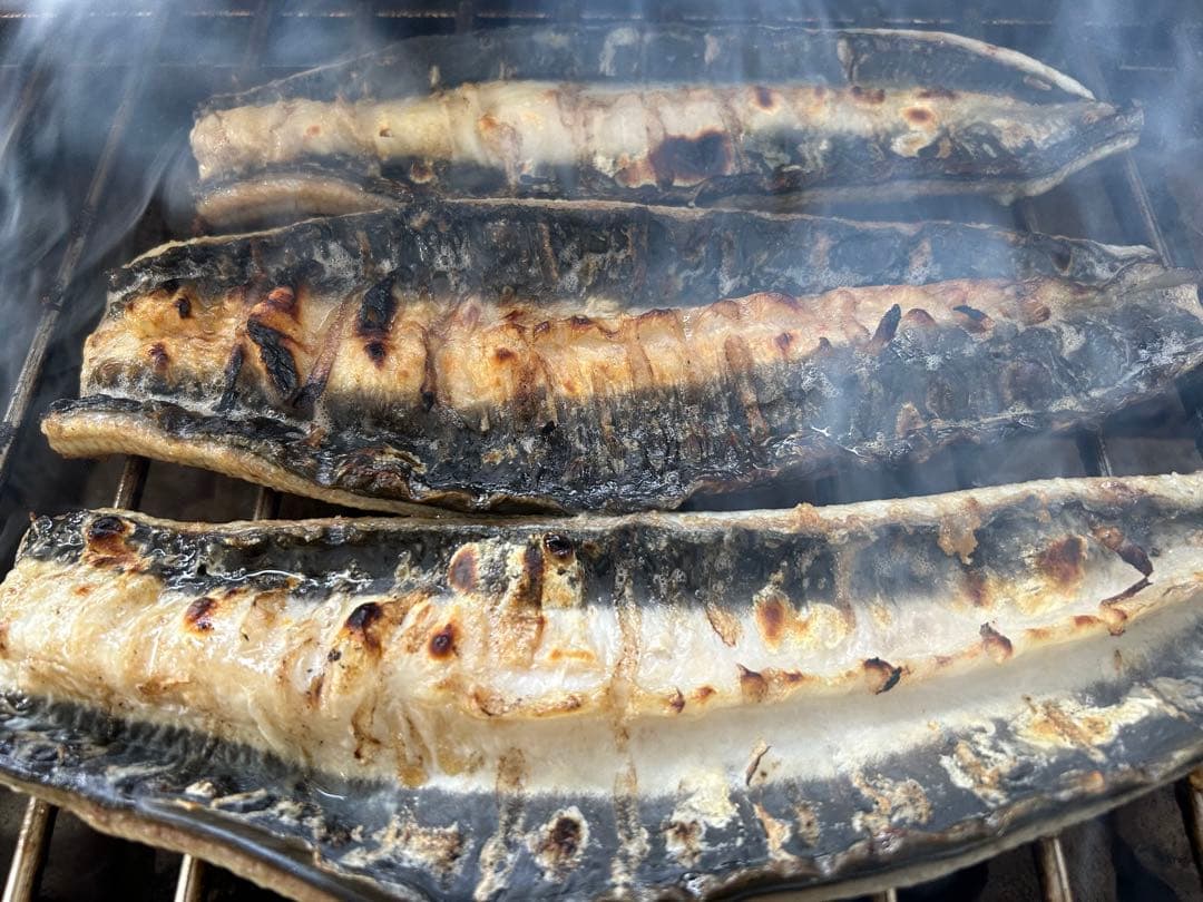 【国産うなぎ】大サイズ140g -170g　三河一色産　6尾セット　炭火焼き鰻