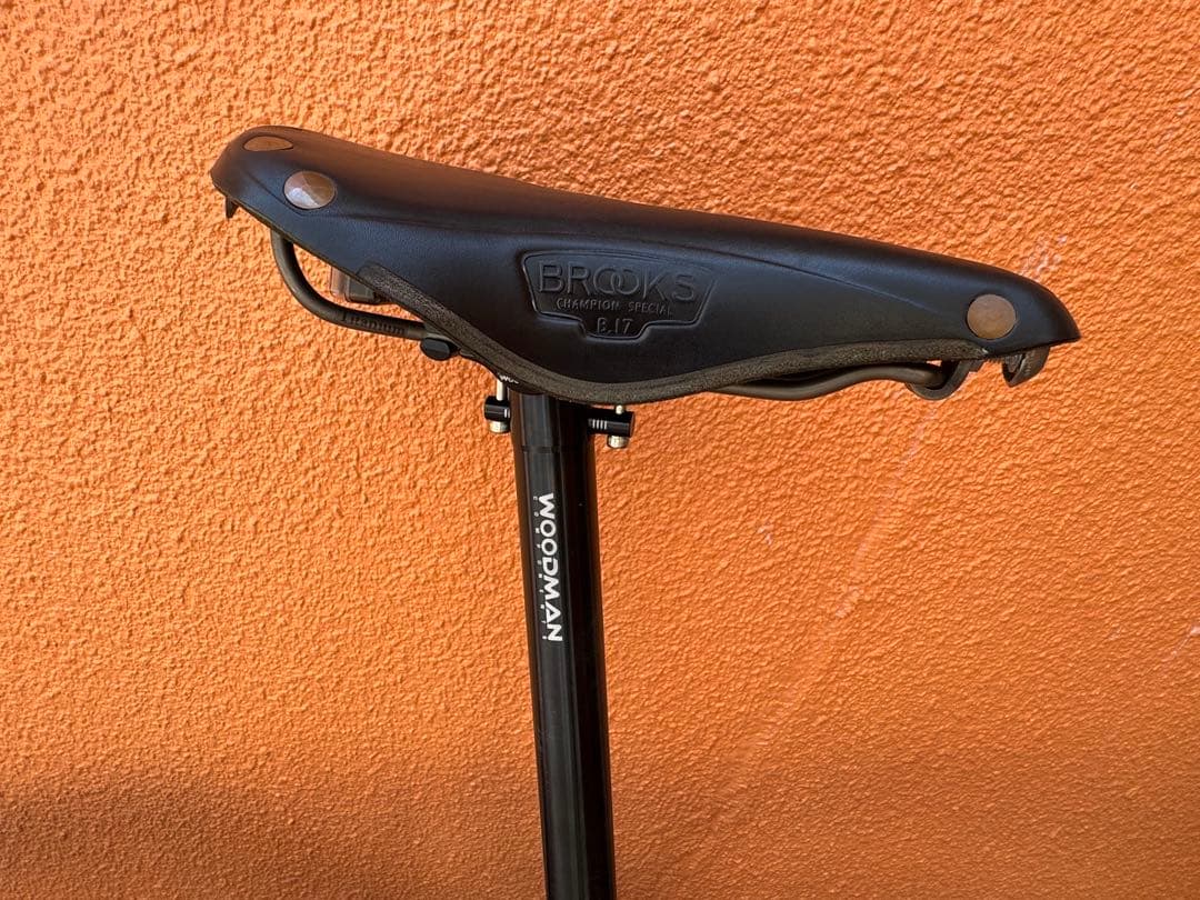 BROMPTON C Line SL2 フレイムラッカー カスタム外装5速