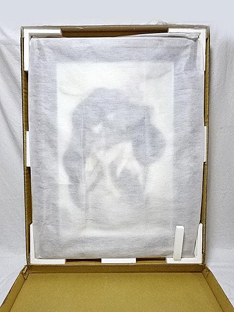 #天野喜孝 #ハンターS #大作 #直筆サイン #アールビバン #証明書付