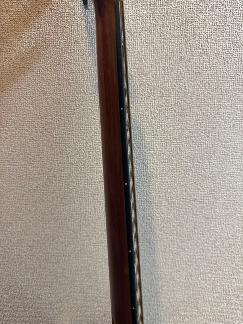 cat's eyesアコースティックギター　ソフトケース付き