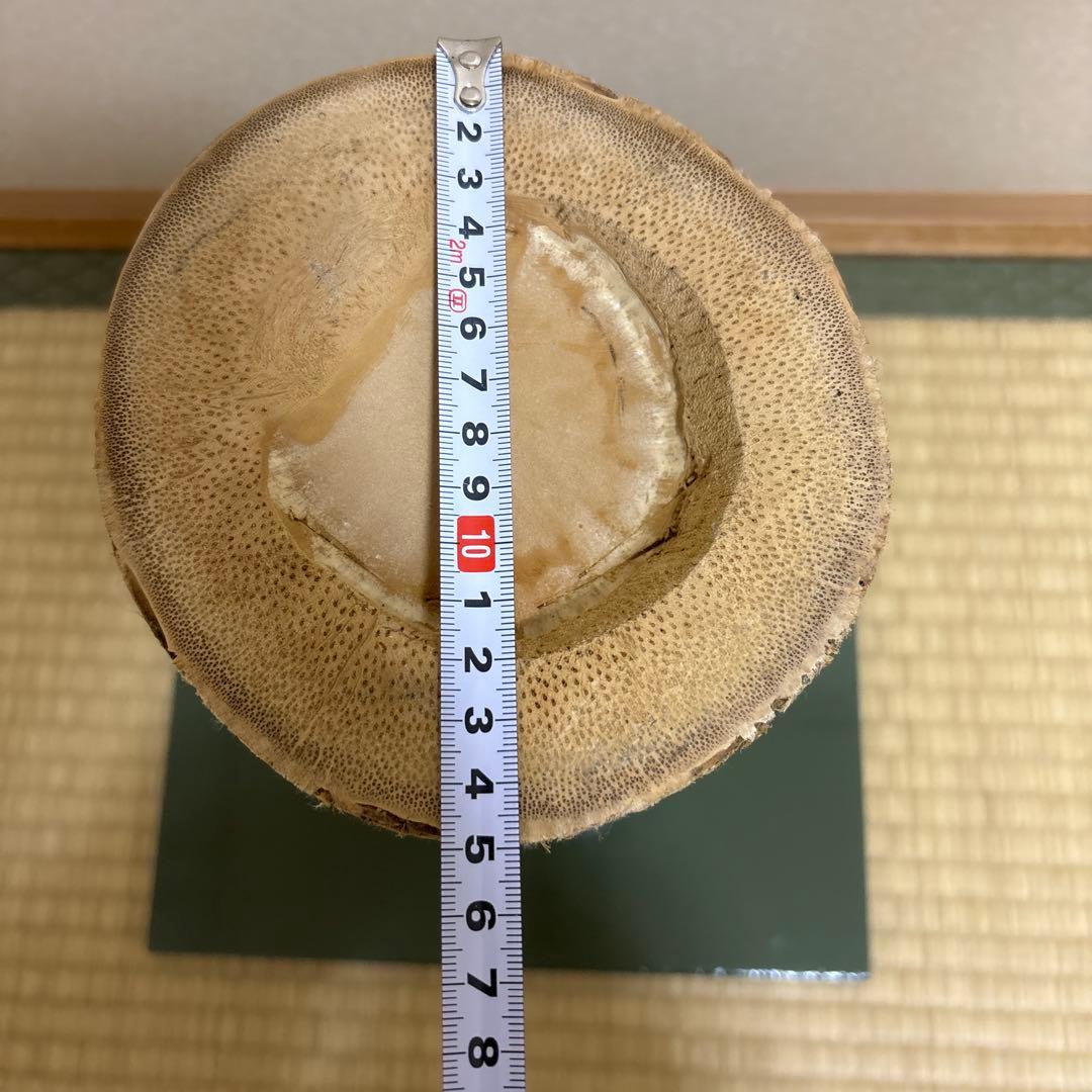 76 美品！根付　寸胴　華道具　一重切　竹製　水仙