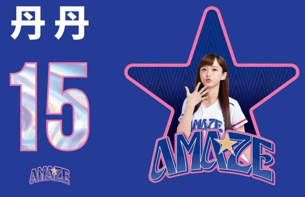 2026　WBC　15　丹丹　だんだん　応援　Tシャツ　ブルー