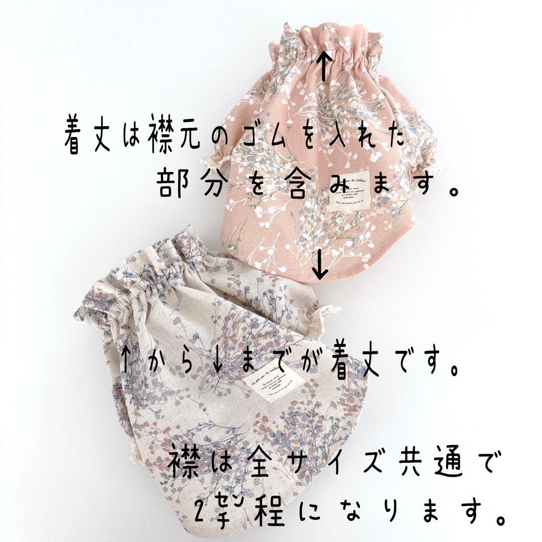 トリュフだわん！