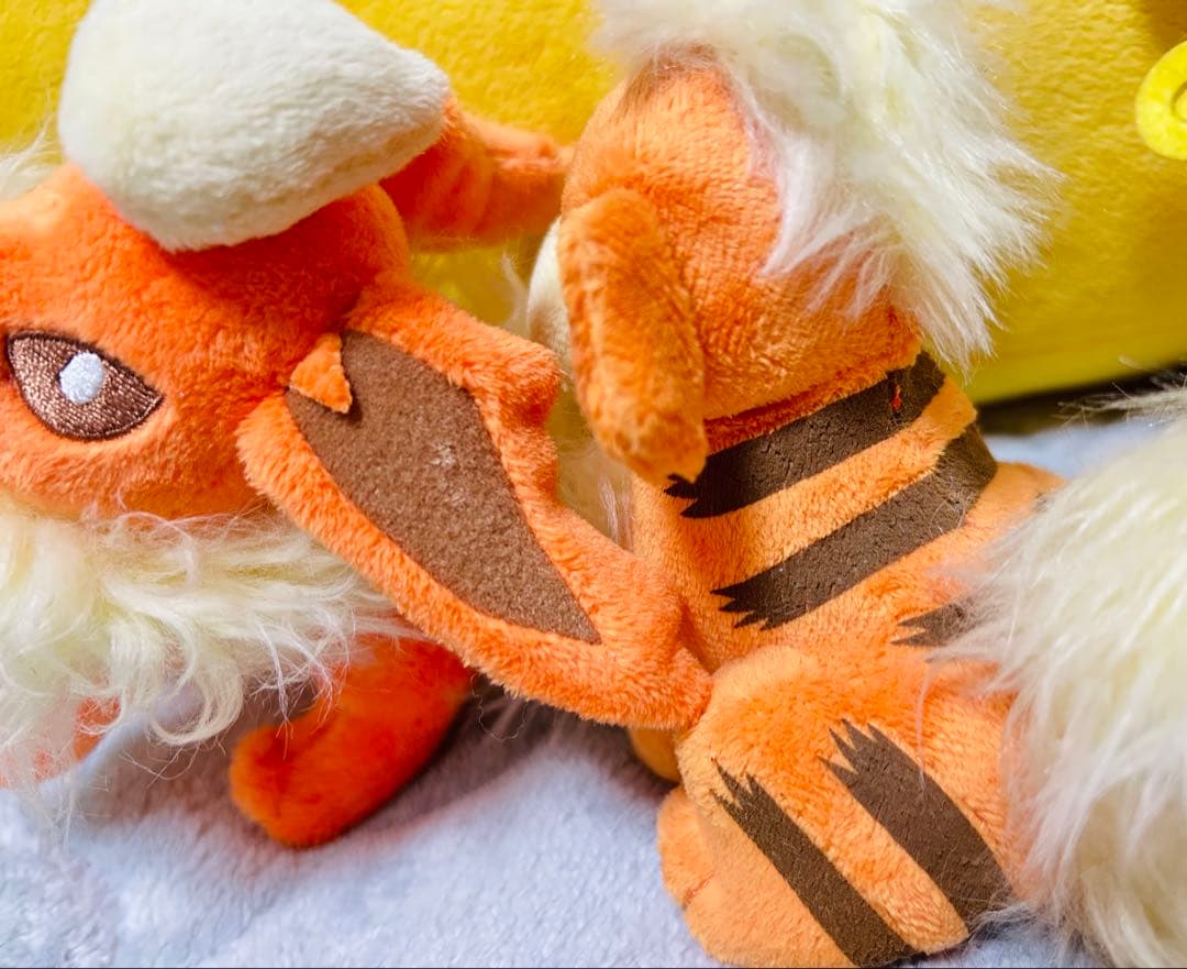 ポケモンキャンバスぬいぐるみ★ブースターガーディライチュウデンリュウ