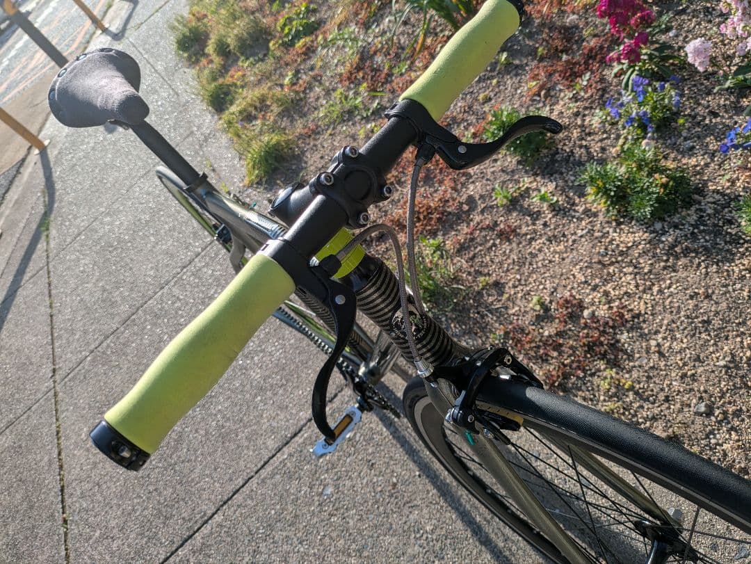 ピナレロ ディーゼル コラボ ピスト 480