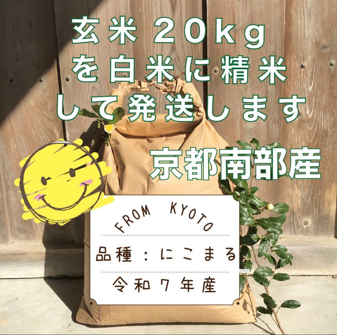 感動を呼ぶお米！令和7年産 新米にこまる【玄米20kg分を精米】白米約18kg
